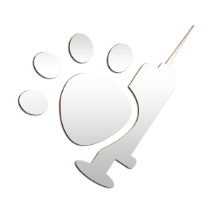 القسم الطبي للقطط