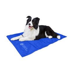 Large Cooling mat for dogs (Blue)