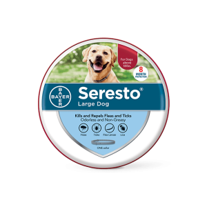 البرغوث والقراد