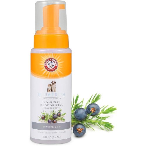 Arm & Hammer Ultra Fresh No Rinse Deodorizing Foam for Dogs in Juniper Mist, 8 oz / 237 ml
