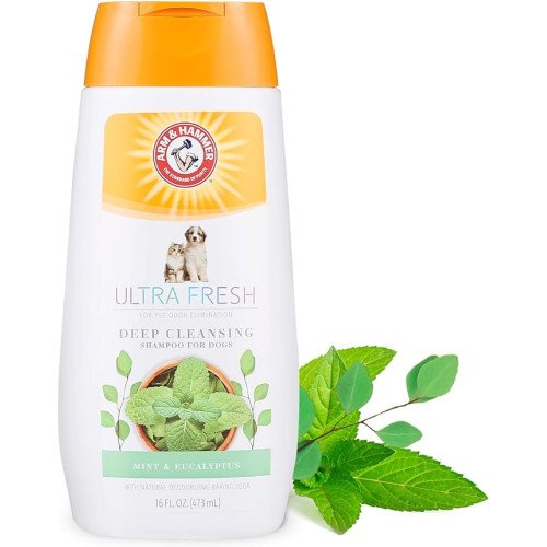 Arm & Hammer Ultra Fresh Deep Cleansing Shampoo with Mint & Eucalyptus, 16 oz / 473 ml