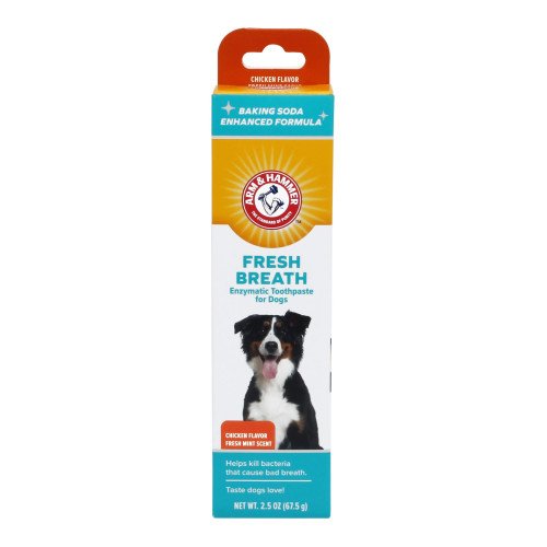 Arm & Hammer fresh breath enzymatic toothpaste for dogs - chicken flavor