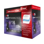 Petex Training Pads 100 Units