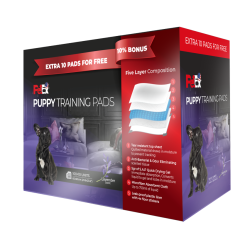 Petex Training Pads 100 Units