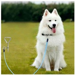 Ground Spiral Metal Screw For Dogs