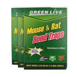 green live mouse and rat traps