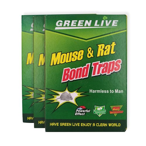 green live mouse and rat traps